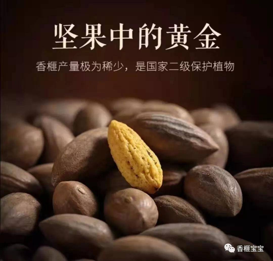 提升免疫力的抗毒圣果:香榧_手机搜狐网