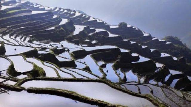 下单|揭密！特斯拉大战拼多多，优惠2万的Model 3到底能不能交付？