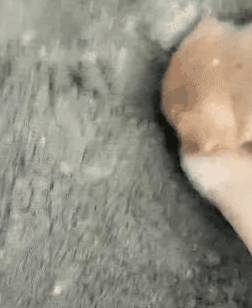 7f64923580214f75b0f86fd69df6b4a7.jpeg