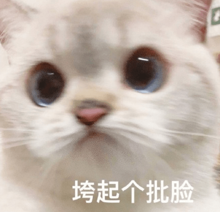 猫咪表情图文包 269f4cdf0b9d4c41b3c0fb23fc428234.png