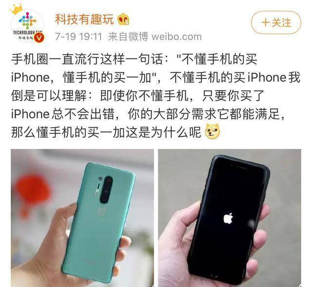 33107fd23f8649179ed7964a017bec64.jpeg