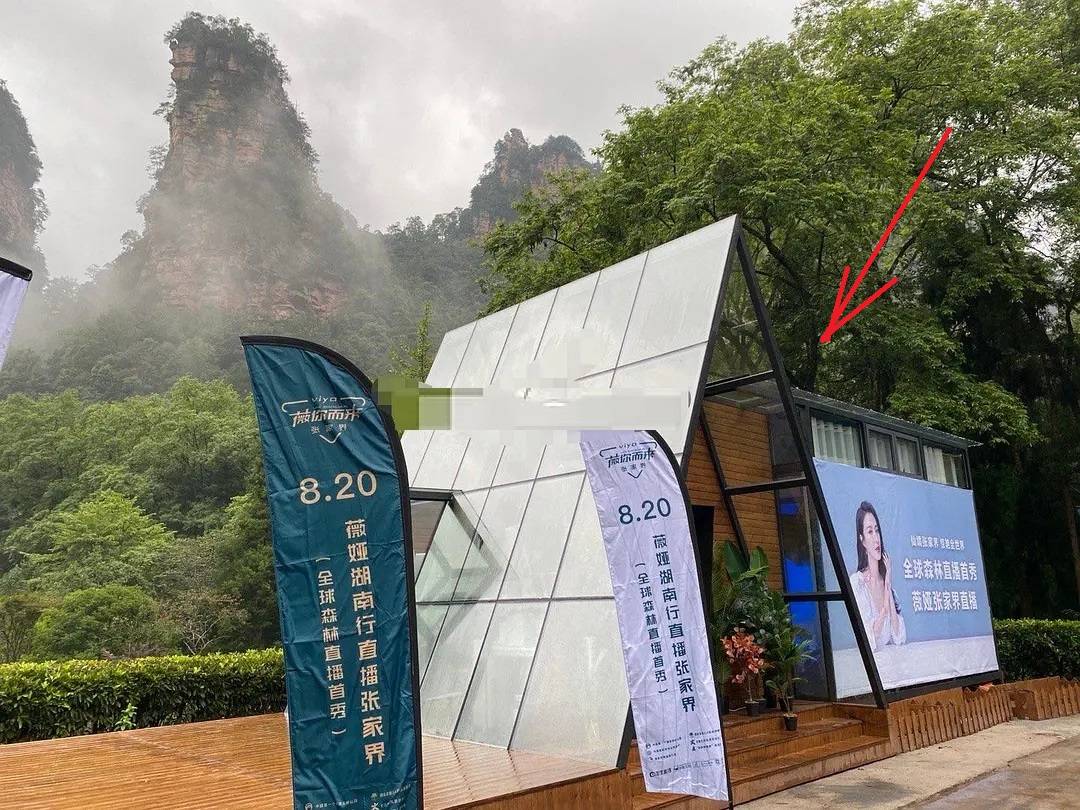网曝薇娅直播被“叫停”因耍大牌，主办方回应