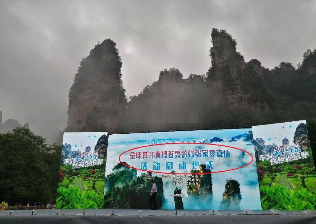 网曝薇娅直播被“叫停”因耍大牌，主办方回应