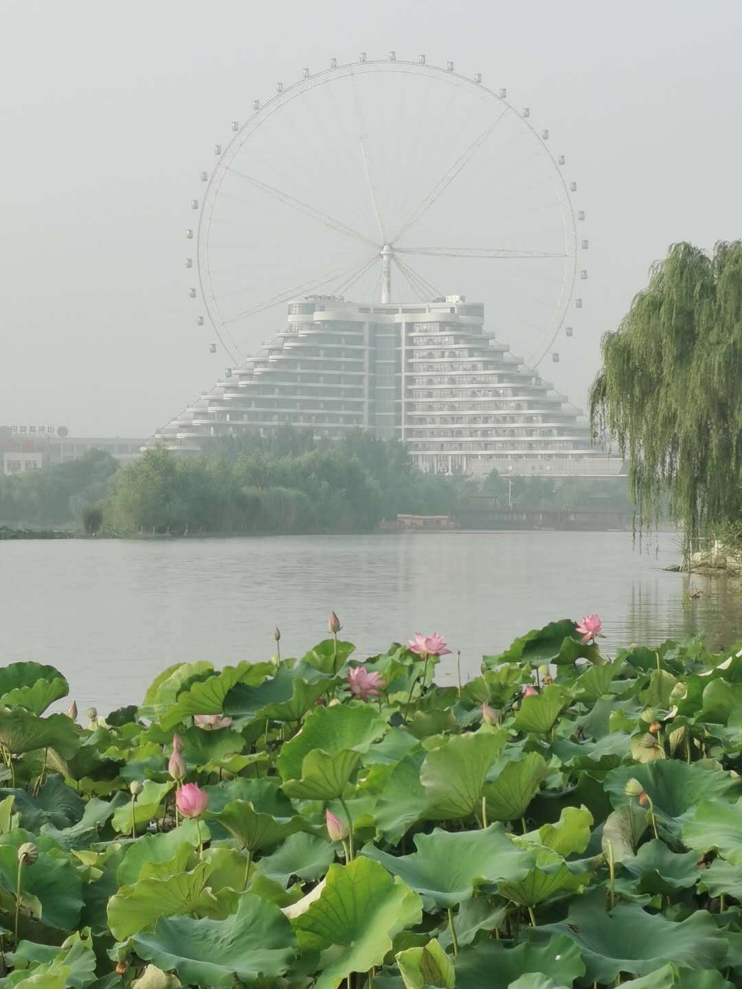 青年人|陈珊：肩负时代重任，谱写青春之歌