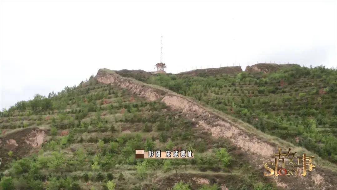 彭阳|你没见过的“东方美人鱼” 穿越时空的她出土于宁夏彭阳