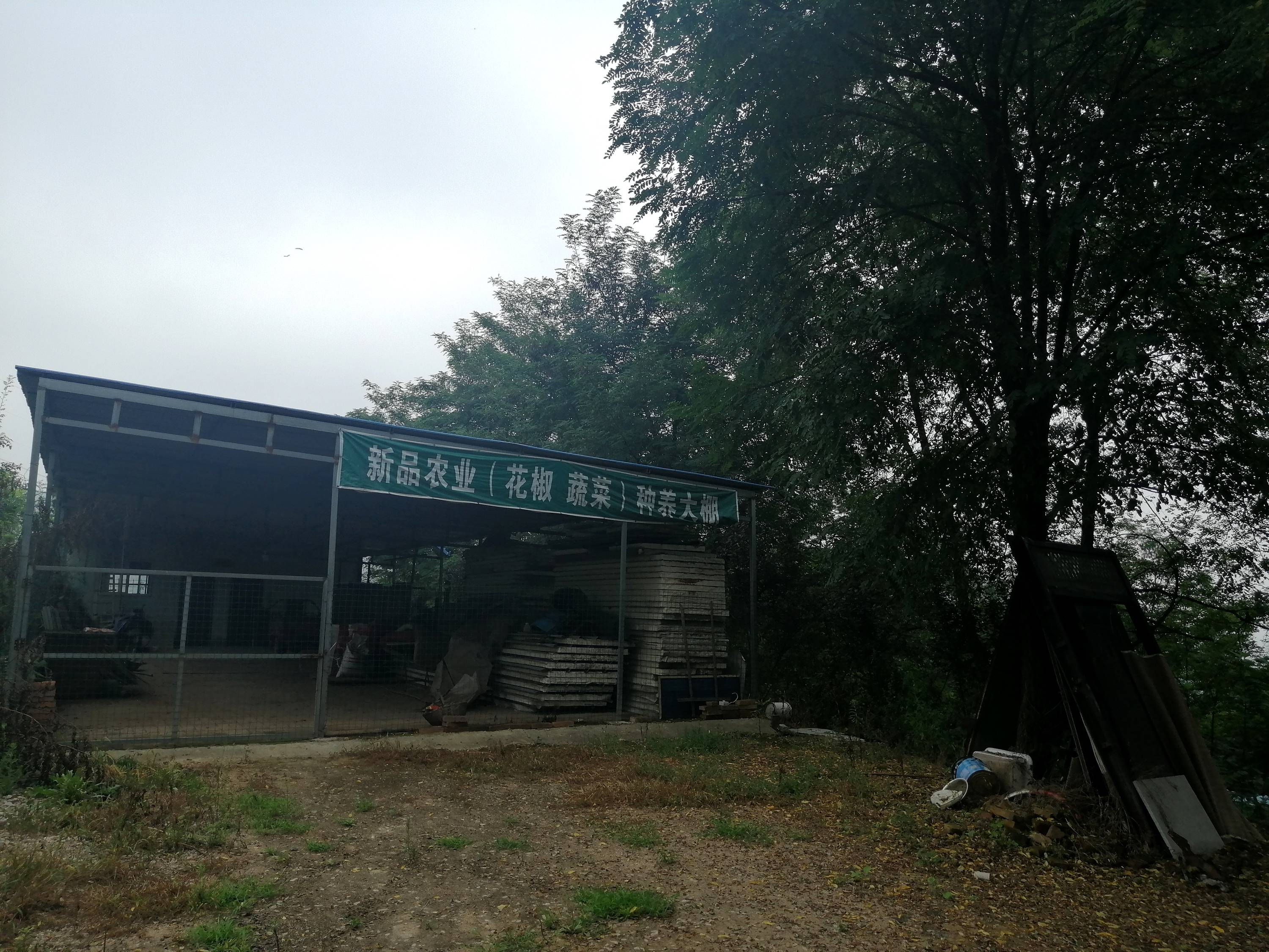 秦岭深山养蜂故事(二十七) 秦岭深山养蜂故事(二十七)