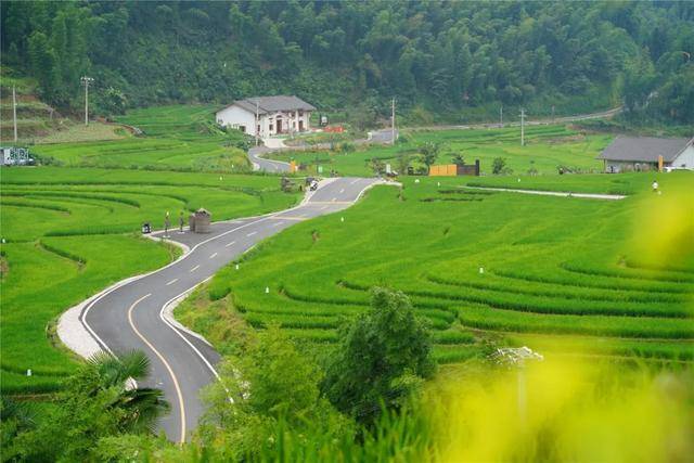 江西赣州各县2020年g_江西赣州火化2020证明(3)