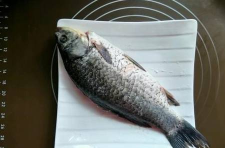 鱼多久喂食一次合适 a2770b401c474fdf8560c9e7ac1b925f.jpeg