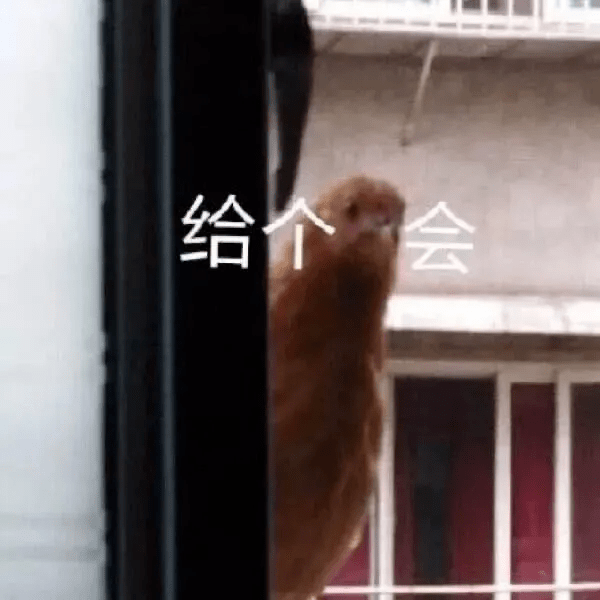头发|娜扎消失的头发全回来了…这方法比鞠婧祎还高明！