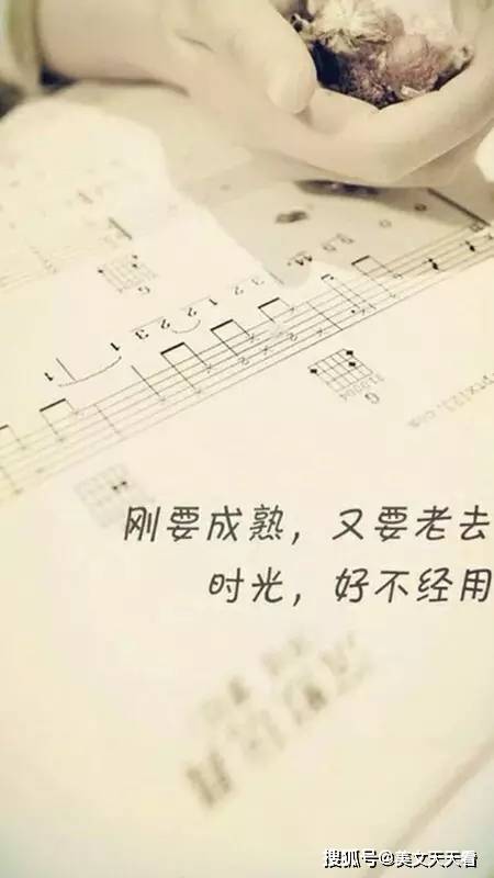 念你如昔曲谱