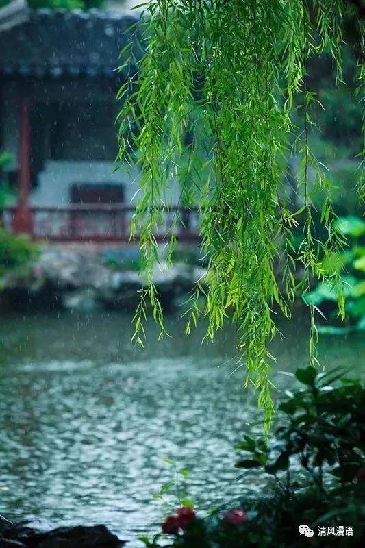 细雨诗词风淅淅雨纤纤