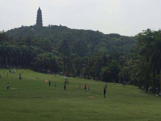 广西新疆gdp_2020广西各市gdp