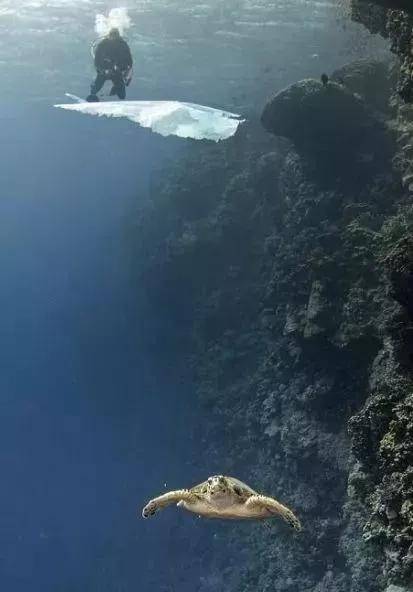 英女王宣布：向全人类公敌宣战，网友全力支持