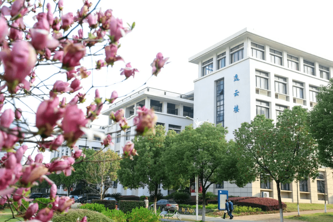 院校|都是国家示范高职院校,有你的母校吗?湖北“拔尖”的3所大专