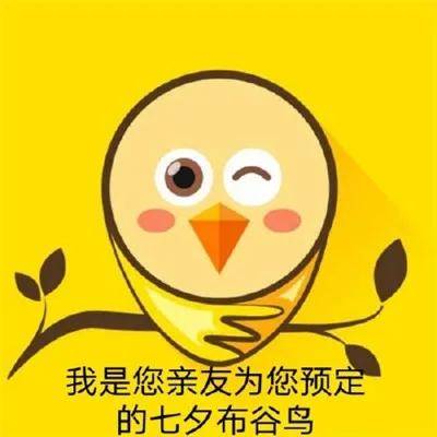 七夕布谷鸟不孤表情包合集_手机搜狐网