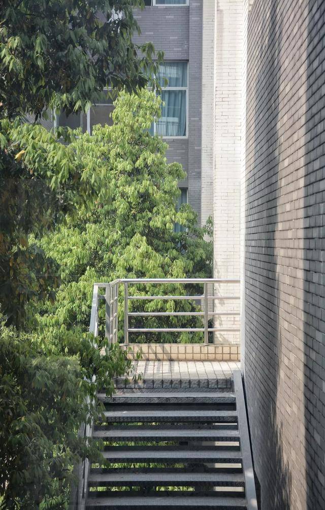 大学|迎来新发展！四川这所大学将由省部共建