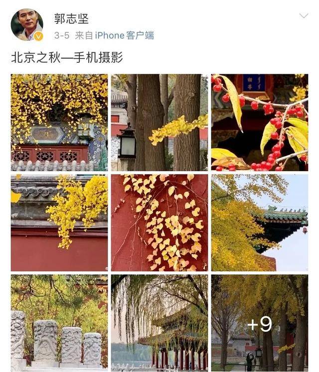 节目|原创能靠颜值圈粉，稳坐“最帅主持人”的郭志坚，为何低调养儿19年