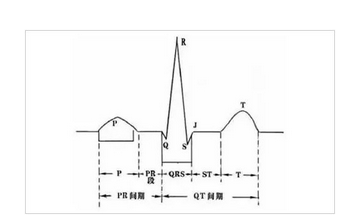 心电图速记口诀