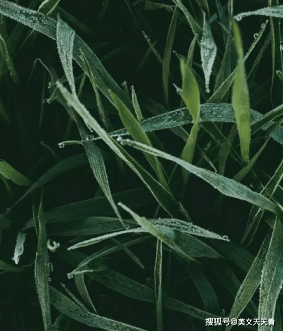 52d6fbf4e185445ab4fac6afbf003c4a.png