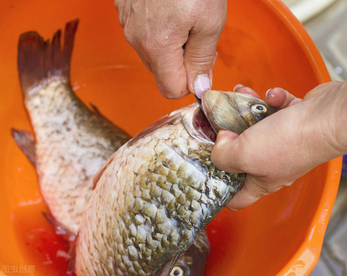 鱼多久能排完卵 cc7b99b6e6d94deabe901c39bba7dd00.jpeg