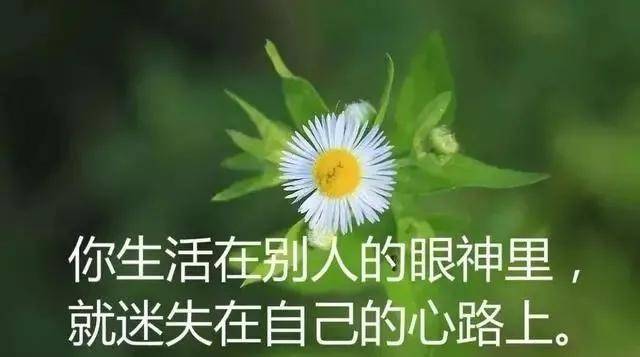 容颜|70后容颜老化，走在大街上靠什么自信