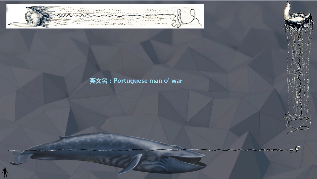 309b3fa218044317bed2203ee2acb33e.png