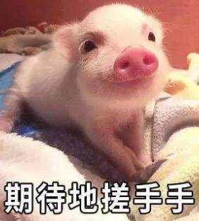 颜界|南韩神颜界遗珠！时隔5年，她终于要复出了...