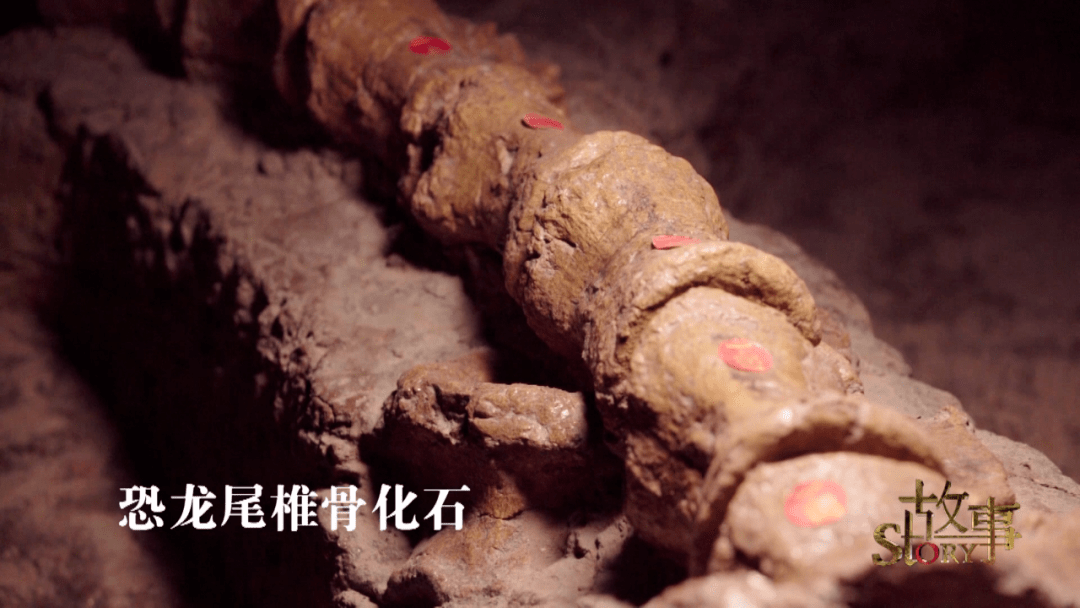 中国|中国“神奇灵武龙”,究竟因何而神奇？