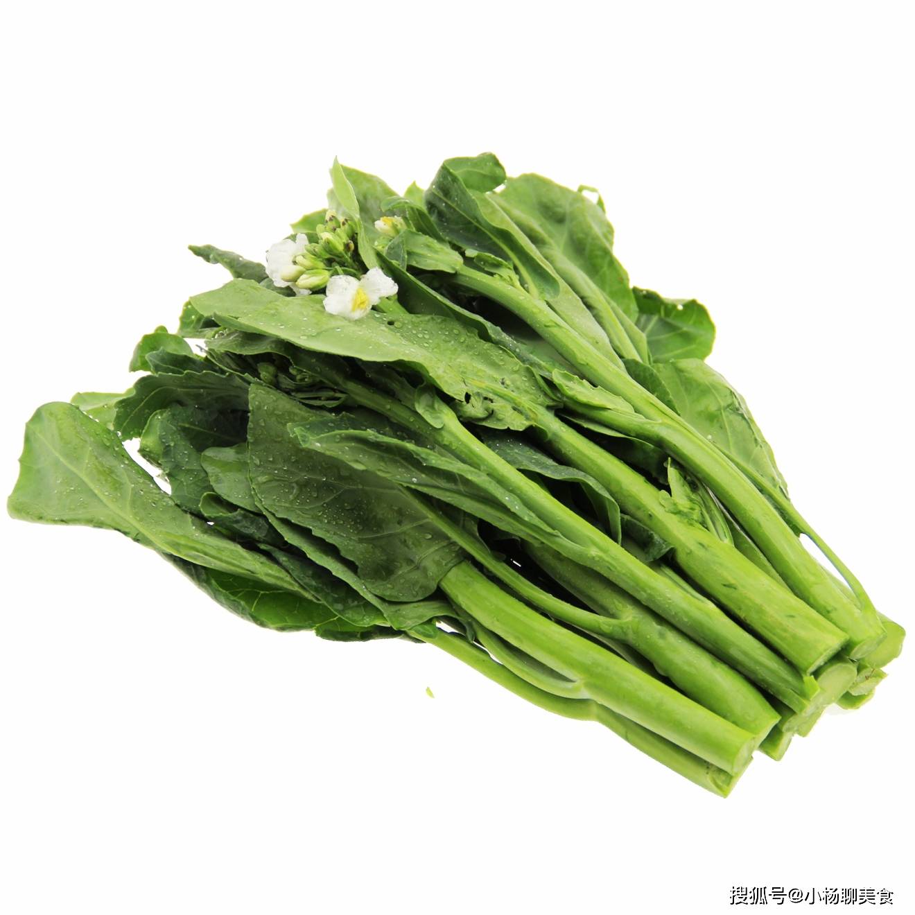什么菜有营养好消化 7fcca3584a9b4fa39411ccd6765e8ba0.jpeg