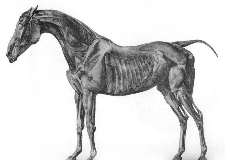 得文|得文宝石Logo设计——辅助线在轮廓抽象化上的应用