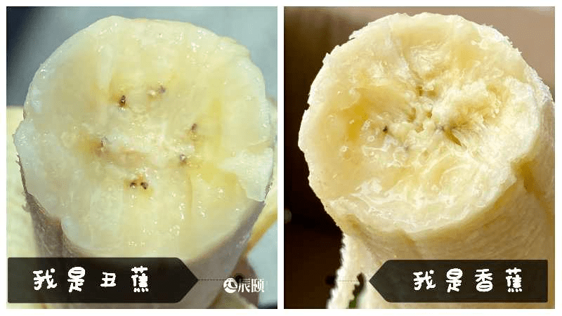 辰颐物语:「丑蕉」丑八怪也有春天,颜控时代只想选择这把丑芭蕉_香蕉