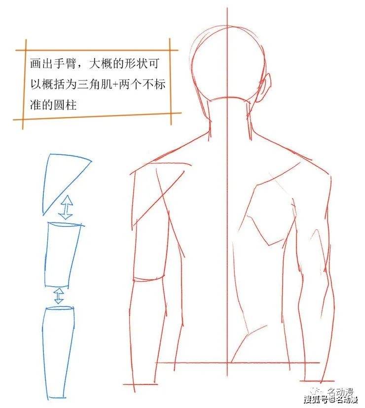 男生女生背影的绘画法区别在哪里