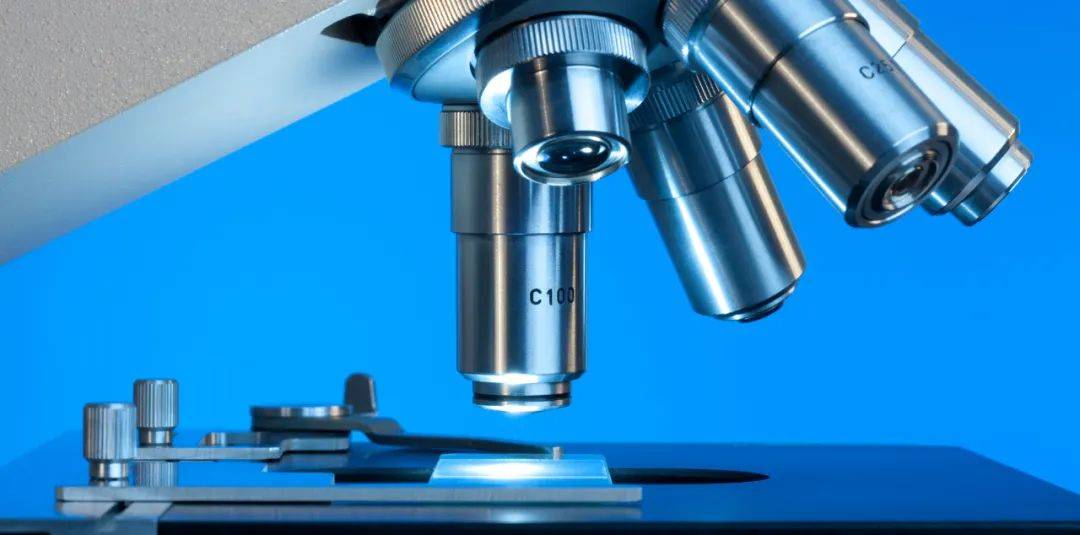 主营|收入来源单一，主营产品销售额连降！赛克赛斯冲刺IPO有多难？