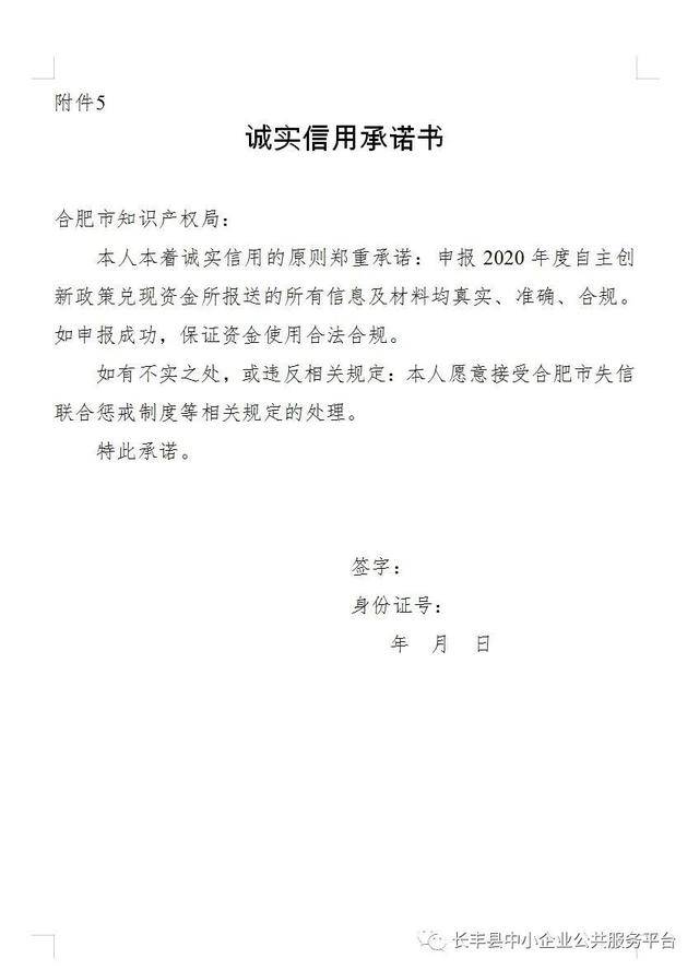 2020合肥上半年各市g_合肥肥西上派规划图