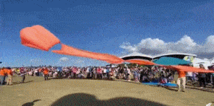 孩子|女童被风筝甩至半空，所幸只是惊吓，群众的举动真的太暖了