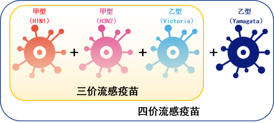 流感|是今年最重要的开学准备之一！这件事