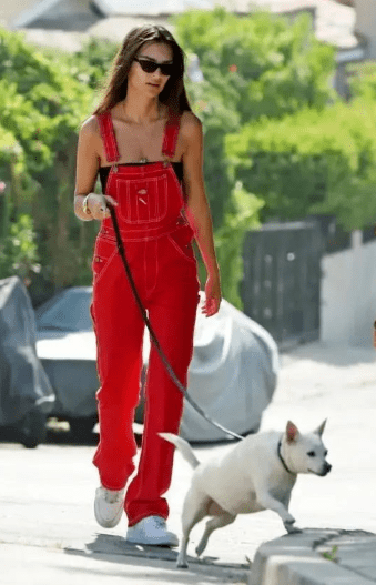 服装|女人过了45岁，少穿黑白灰！多穿这5种“颜色”，非常显气质