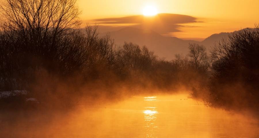 今年家电市场那些跌出来的机会：以旧换新、消费升级、人群细分-家电圈官网