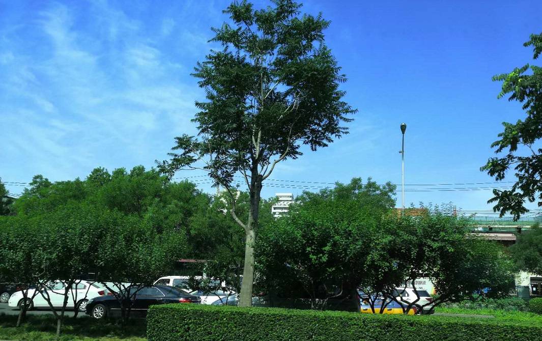 考试|考研 VS 考公务员，哪个考试难度更大？