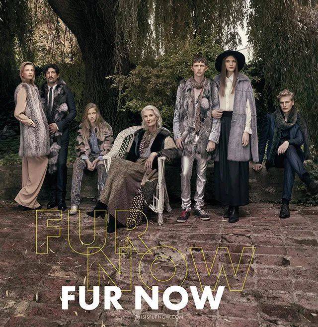 毛皮|不应随意“丢弃”的时尚