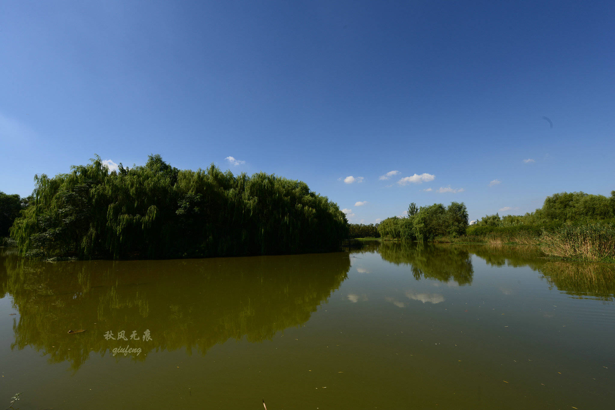 浐灞(|西安蓝里的浐灞，鹭鸶嬉戏，花草灿阳，留下湿地美幻时光