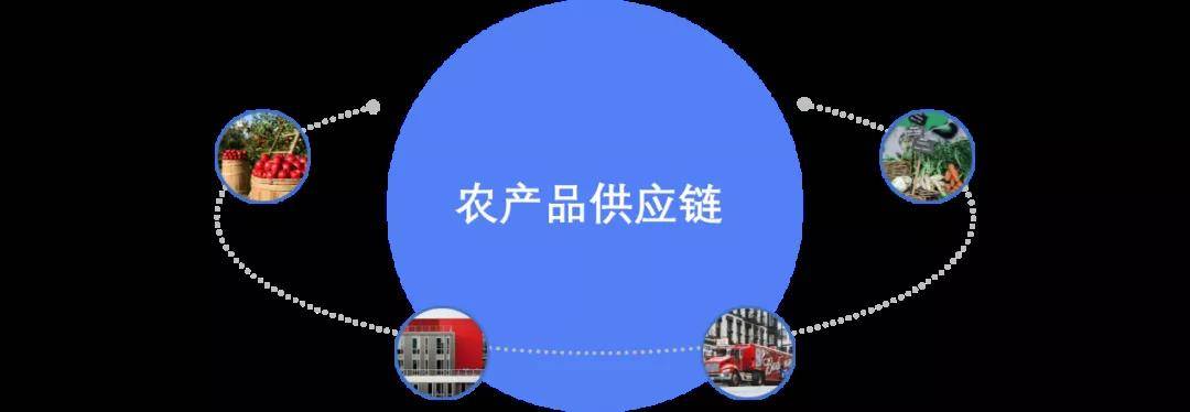 以"大数据"引领农产品供应链变革,推动农产品供应链智能化发展