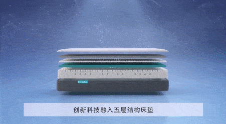 李子柒|36岁坚持不结婚，她一个人活得很漂亮。韩国“城市李子柒”独居日常走红ins