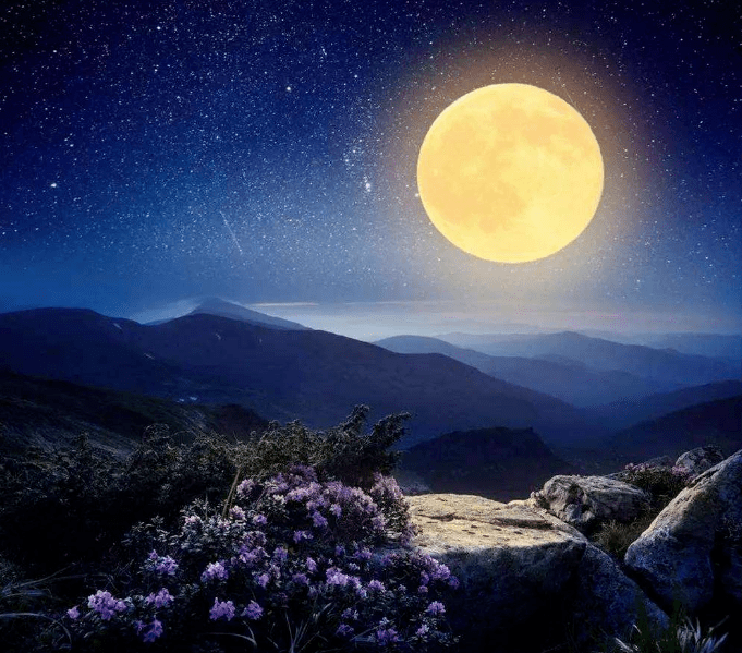 【诗词鉴赏】七月十五的月光,在月色中思念