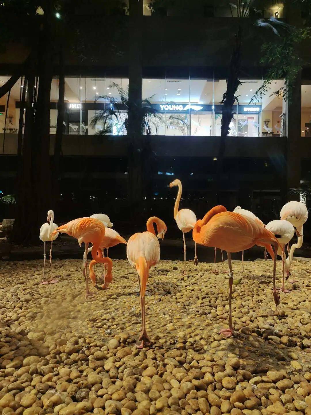 Pro|vivo X50 Pro测试：765G换来微云台，值得一买吗？