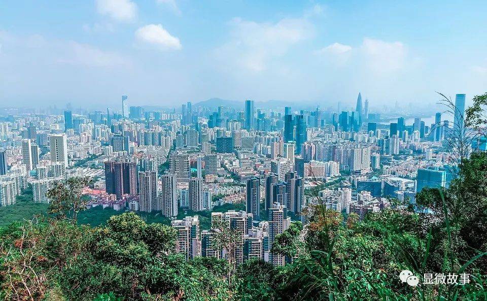 炒3000元的房子,赚深圳首付,他买到了“鬼城”