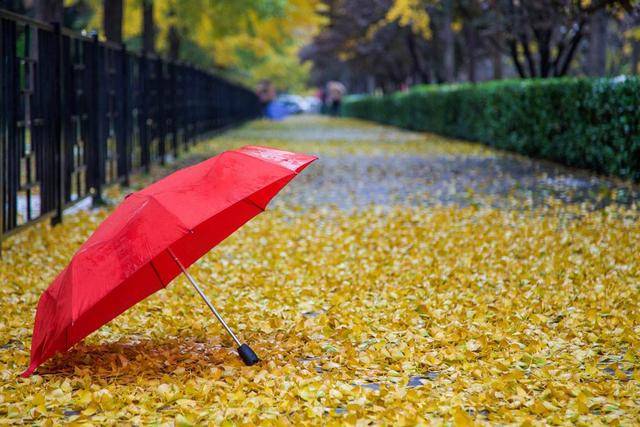 秋雨绵绵下,儿童慢慢行.一溜一滑起三更.上学路途遥远,盼天晴.