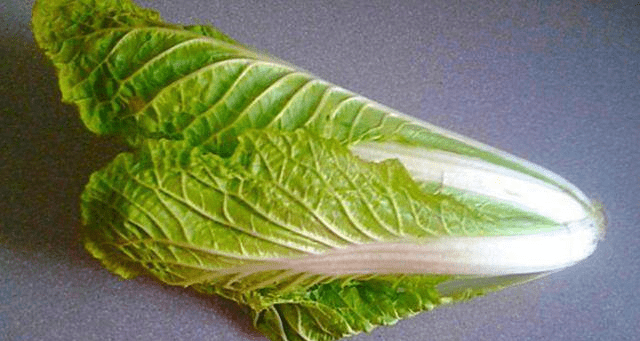 哪里的大白菜最便宜 21eb36d70a3f4008a87165c798ae5099.png