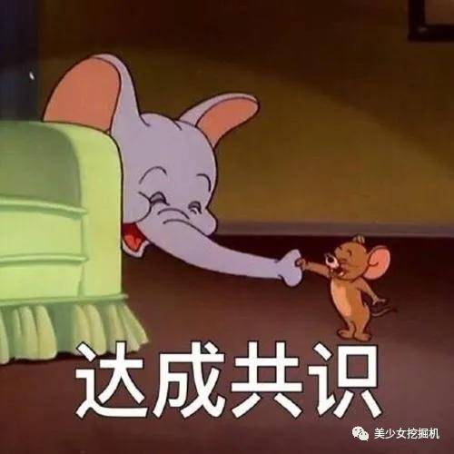 姐姐|金晨没成团是和节目组谈崩了？