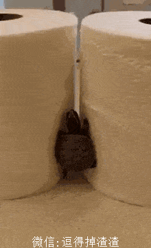 搞笑gif段子:厉害了,倒立还能摆出好姿势_老婆